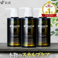 【最大30％OFFクーポン配布中 5/16 1:59まで】公式 チャップアップ CHAP UP シャンプー メンズ ボトル ス…