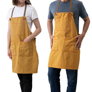 Nt^[Gv lp Ɨp LpXn ۈm et K[fjO | Lv JtF jp vwyA