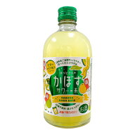 お酒 ギフト 藤居酒造 ほっとさんの かぼすサワーの素 25° 500ml ≪砂糖不使用・果汁たっぷり 炭酸で割…