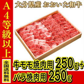 お肉 大分県産 おおいた和牛 牛モモ焼肉用 250g + おおいた和牛バラ焼肉用 250g ≪ 全国どこでも送料無料 ≫【 産地直送の為代引き不可 】