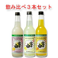 お酒 ギフト 中野BC 富士白 チュウハイの素 ( レモン グレープフルーツ ミカン ) 飲み比べ 3本 セット 25…