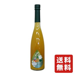 Vbv  c_ B ʎVbv t[c`v[ ~bNX 500ml ߃^Cv y t z