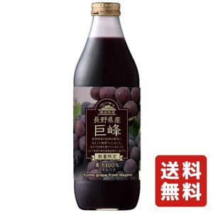 I 쌧Y  1000ml ʏ`100 Xg[g y ikCEkEj zy O[vW[X ԂǂW[X z