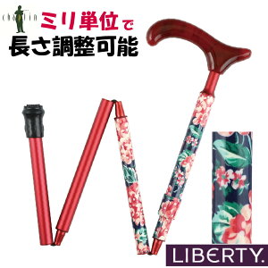oeB    y  AN V^  A~4i ReB_X ܂肽 肽 RpNg [ ԕ fB[X S 16mm S  `bv { 