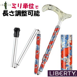 oeB    y  ANV^ }[u A~4i NeBi @܂肽 肽 RpNg [ ԕ fB[X S 16mm S  `bv 