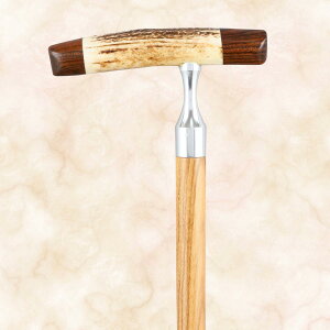 茳{RepL^ij^[uEbh XebLX`bv