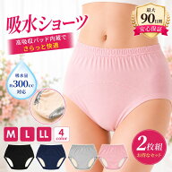 【2枚セット】 尿漏れパンツ レディース 女性用 女性 尿とりパッド 失禁パンツ 300cc 吸水パッド 吸水 軽…