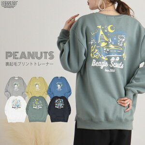 Xk[s[  g[i[ XEFbg N obN vg gbvX SNOOPY PEANUTS