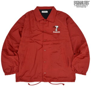 Xk[s[ R[`WPbg tH AE^[  obNvg JWA