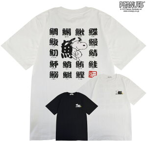 Xk[s[  TVc   vg t EbhXgbN SNOOPY PEANUTS