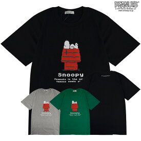 スヌーピー Tシャツ トップス 半袖 レディース ピクセル SNOOPY PEANUTS