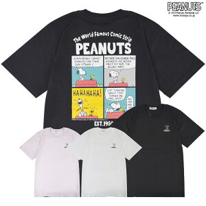 Xk[s[ TVc  gbvX obN vg EbhXgbN SNOOPY PEANUTS