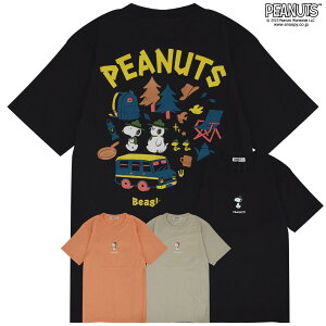 Xk[s[ TVc  gbvX r[OXJEg It vg SNOOPY PEANUTS