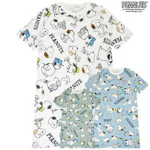 Xk[s[ It XpCN AfB TVc BIG gbvX  fB[X vg SNOOPY PEANUTS