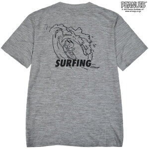 Xk[s[ TVc  gbvX T[t hC vg SNOOPY PEANUTS