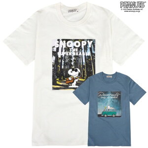 Xk[s[ TVc  gbvX vg M^[  tHg ʐ^ SNOOPY PEANUTS