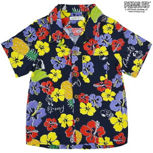 Xk[s[ An Vc AnVc LbY q  gsJ vg SNOOPY PEANUTS