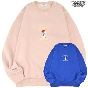 Xk[s[ hJ N g[i[ XEFbg PEANUTS SNOOPY