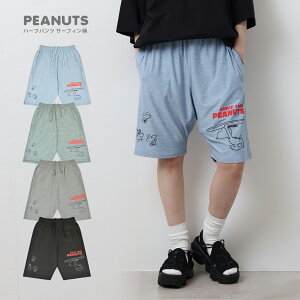 Xk[s[ EbhXgbN n[tpc T[tB vg {gX SNOOPY PEANUTS woodstock