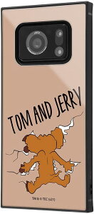 AQUOS R6/wgƃWF[x/ϏՌnCubhP[X KAKU/ȃWF[1(LN^[ObY)