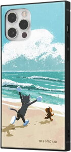 iPhone 12 / 12 Pro / wgƃWF[x/ϏՌnCubhP[X KAKU / A[gRNV_C(LN^[ObY)