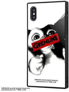 iPhoneXs/X/�O��������/�ϏՌ��K���X �X�}�z�P�[�X KAKU/WARNING/IQ-WP20K1B/GR005(�L�����N�^�[ �O�b�Y)