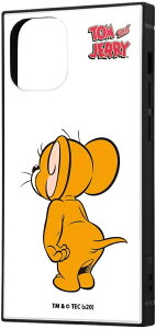 iPhone 12 mini/gƃWF[/ϏՌ/nCubh/X}zP[X KAKU/WF[(LN^[ ObY)