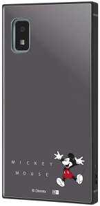 AQUOS wish / wfBYj[LN^[x/ϏՌnCubhP[X KAKU/~bL[}EX_Wv(LN^[ObY)