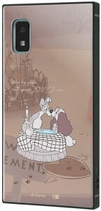 AQUOS wish / wfBYj[LN^[x/ϏՌnCubhP[X KAKU/񕨌_(LN^[ObY)