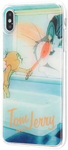 iPhone XS Max P[X/gƃWF[/TPU X}zP[X wʃpl/gƃWF[24(LN^[ObY)