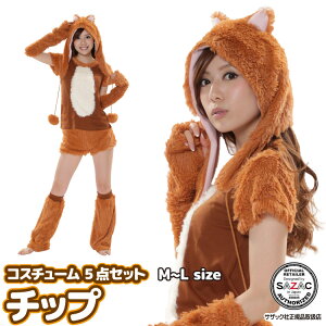 RXv `bv 5_Zbg lp rbj070  nEB[ ߑ  ϐg nEB RX`[ LN^[ fBYj[ `bvƃf[ Mtg v[g  w USJ YN C