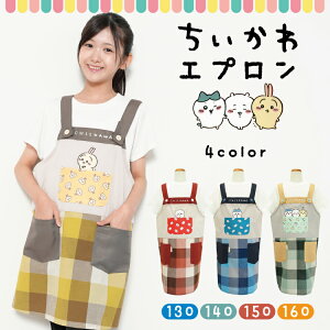 LbY Gv LN^[  n`  130 140 150 160 ̎q q LbYGv 킢 w l[^Ot x4-ha43707all $$