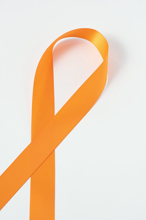 楽天市場 サテンリボン オレンジ01 25mm 衣装生地 布専門店のキャラヌノ