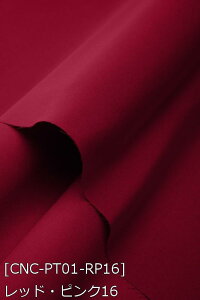  RXv |GXecC n n S132F  sNn 19F z150cm 50cmȏ10cmPʔ̔