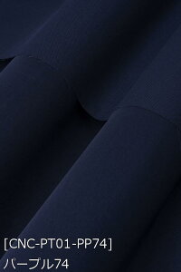  RXv |GXecC n n S132F  IW n 19F z150cm 50cmȏ10cmPʔ̔