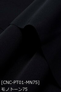  RXv |GXecC n n S132F  n 19F z150cm 50cmȏ10cmPʔ̔