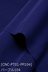  RXv |GXecC n n S132F  IW n 19F z150cm 50cmȏ10cmPʔ̔