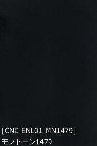 Gin n n 18F     sN      n S18F z130cm 50cmȏ10cmPʔ̔