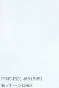 |GXeW[W[ n S24F    n 14F z160cm 50cmȏ10cmPʔ̔