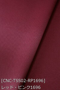 Tever.2 S38F n  sN   n 18F z150cm 50cmȏ10cmPʔ̔