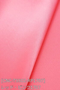 Tever.2 S38F n  sN   n 18F z150cm 50cmȏ10cmPʔ̔