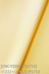 Tever.2 S38F n  sN   n 18F z150cm 50cmȏ10cmPʔ̔