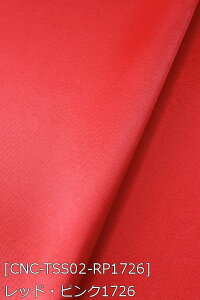 Tever.2 S38F n  sN   n 18F z150cm 50cmȏ10cmPʔ̔