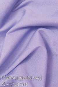 A[ n S43F n   sNn z150cm 50cmȏ10cmPʔ̔