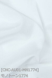 A[ n S43F n  IW     n z150cm 50cmȏ10cmPʔ̔