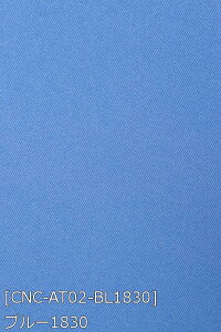 A[ocC IWiJ[ S10F      IW   sNn z150cm 50cmȏ10cmPʔ̔