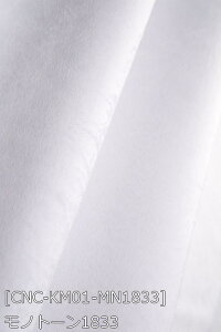 |GXeNуXG[h S46F n    D n 17F z102cm 50cmȏ10cmPʔ̔