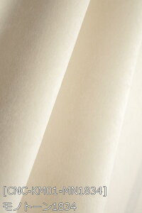 |GXeNуXG[h S46F n    D n 17F z102cm 50cmȏ10cmPʔ̔