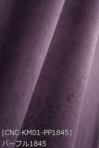 |GXeNуXG[h S46F n    sN n 12F z102cm 50cmȏ10cmPʔ̔