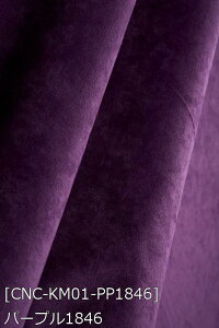 |GXeNуXG[h S46F n    sN n 12F z102cm 50cmȏ10cmPʔ̔